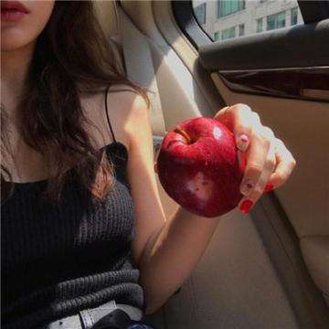 pendion计划官方版